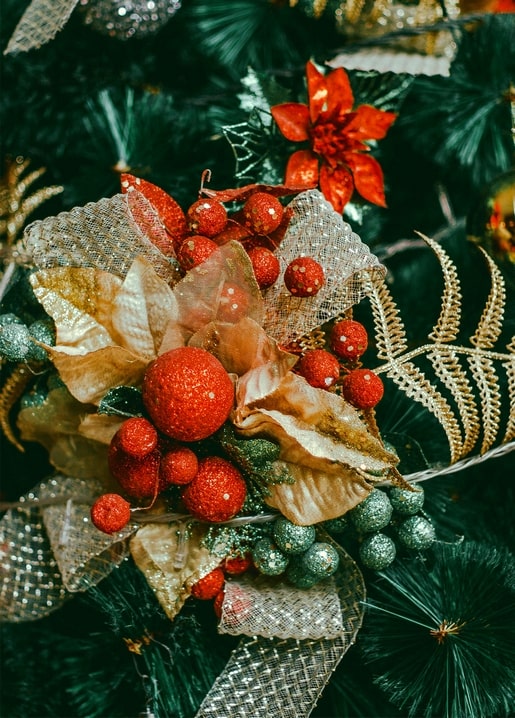 Close-up of a red poinsettia bloom with gold baubles and ribbon on a pine branch