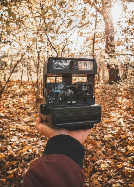Hand hält eine Polaroidkamera zwischen goldenem Herbstlaub im Wald