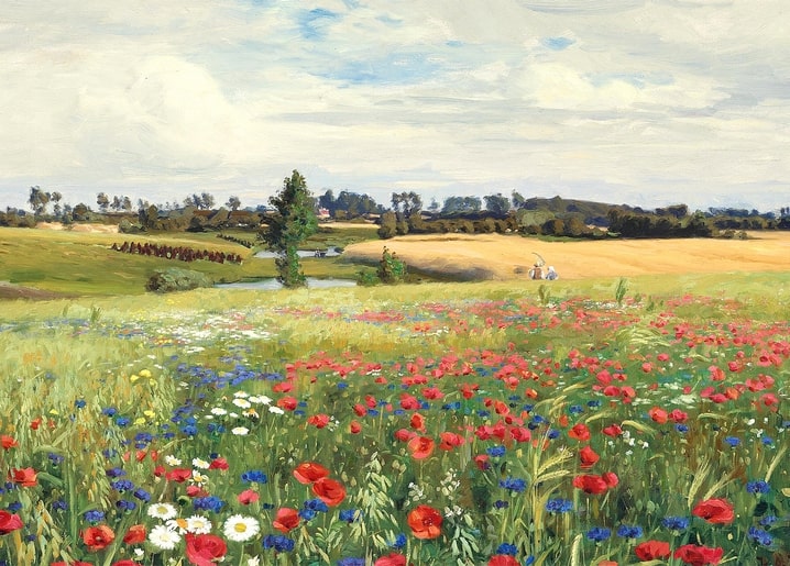 Sommerwiese mit rotem Mohn, blauen Kornblumen und weißen Margeriten vor einem Weizenfeld