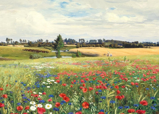 Summer meadow with red poppies, blue cornflowers and white daisies before a wheat field