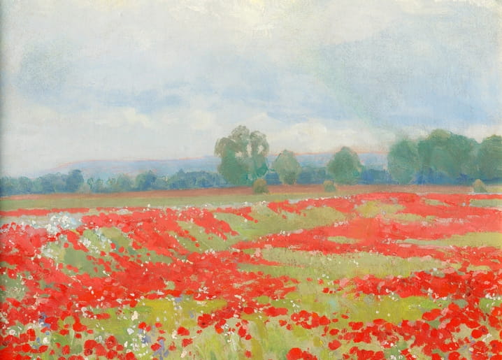 Red poppy field stretching toward distant trees under a pale sky, landscape by Ľudovít Čordák