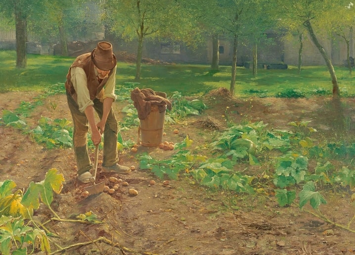 Painting of a man digging potatoes in a sunny garden, by Josef Kinzel
