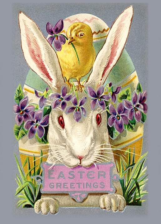 Weißer Hase mit Veilchenkranz und gelbem Küken auf den Ohren, Vintage-Osterpostkarte
