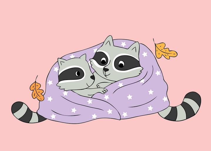 Two raccoons cuddled together under a purple star-print blanket with striped tails poking out.