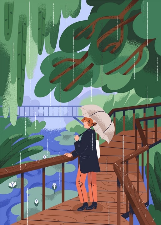 Illustration of a person with an umbrella on a rainy wooden boardwalk over a lily pond in a green forest