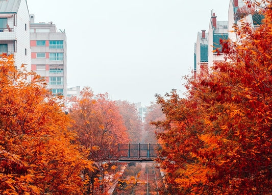 Footbridge between apartment buildings framed by fiery red autumn trees in mist