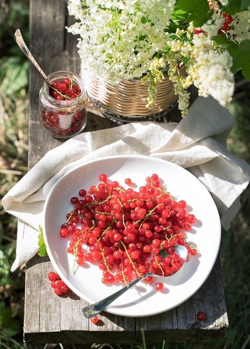 Bowl of red currants with spoon beside white elderberry blossoms