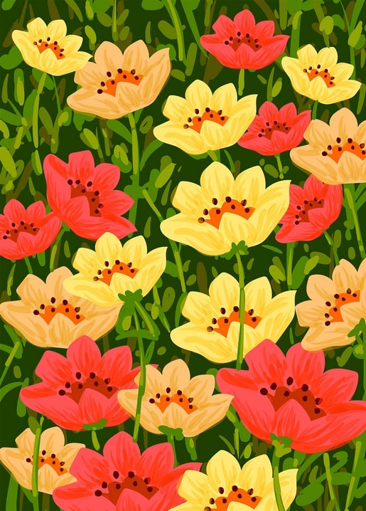 Red, orange, and yellow wildflowers illustrated in bold color against dark green foliage