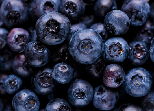 Macro photo of ripe blueberries with dew drops, summer postcard design