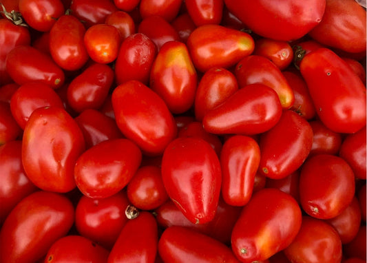 Close-up macro photo of ripe red plum tomatoes with glossy skins