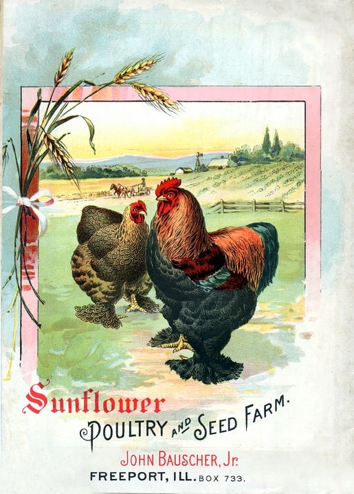Vintage farm catalog cover with a rooster, hen, ribbon-tied wheat sheaf, and horse-drawn plow scene