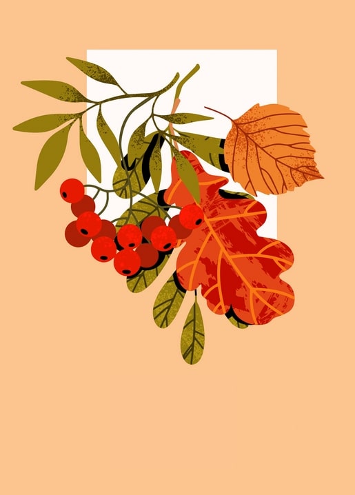 Illustration of rowan berries and an autumn oak leaf on a peach background