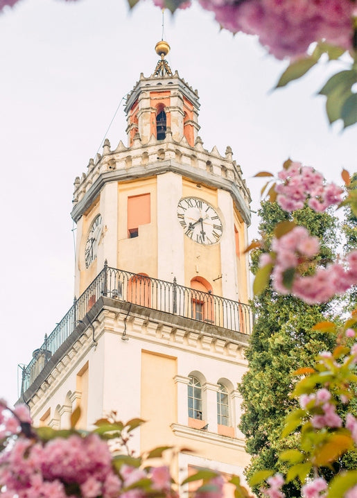 Sambir's ornate clock tower rising through blooming pink blossoms