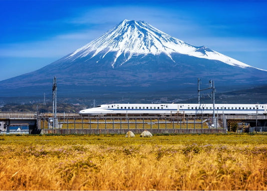 White Shinkansen bullet train speeding past Mount Fuji through golden fields