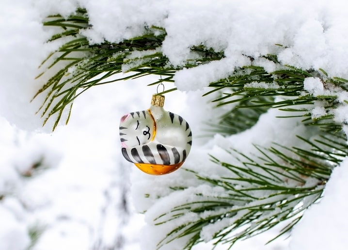 Hand-painted glass ornament shaped like a sleeping cat hangs from a snowy pine branch