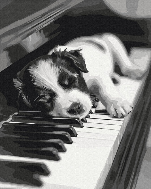 Black-and-white illustration of a puppy asleep across piano keys, paint-by-numbers canvas print