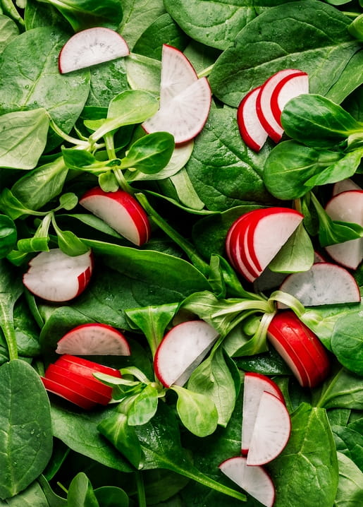 Sliced red radishes scattered over dewy spinach and lamb's lettuce leaves.