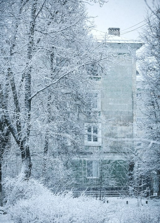 Old apartment building seen through frost-covered bare branches during snowfall