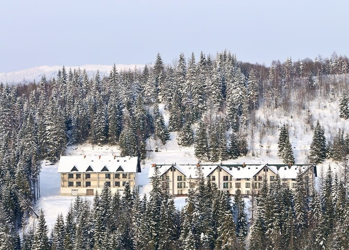 Timber chalets on a snowy mountainside surrounded by pine forest