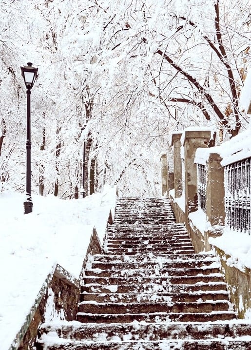 Snow-covered stone staircase with a lamppost and snow-laden trees