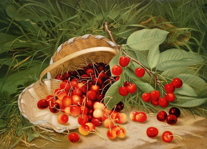 Still life of a tipped wicker basket spilling ripe cherries onto grass, with a leafy branch, by Virginia Granberry