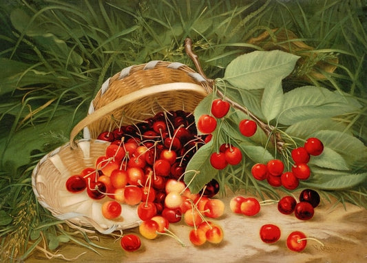 Still life of a tipped wicker basket spilling ripe cherries onto grass, with a leafy branch, by Virginia Granberry