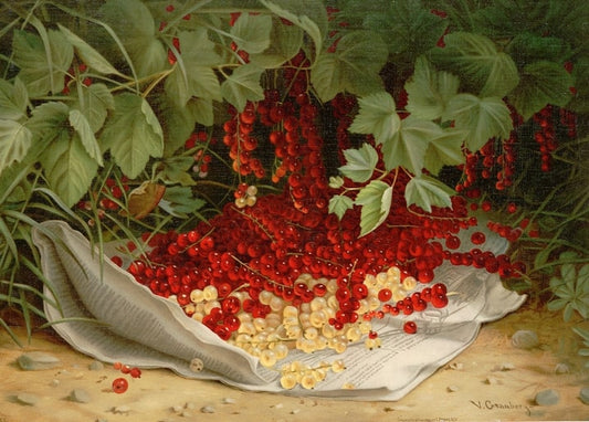 Still life of red and white currants spilled on a linen cloth beneath leaves, by Virginia Granberry