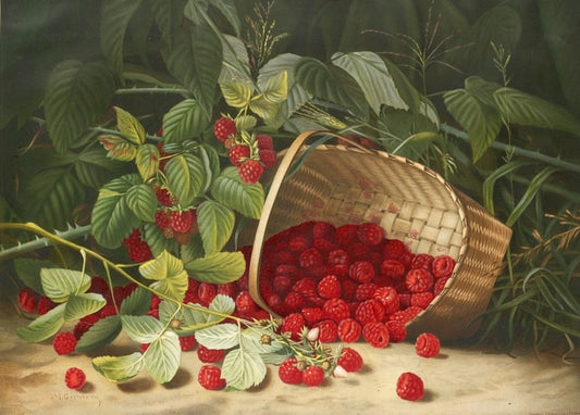 Stillleben mit verschütteten Himbeeren neben einem geflochtenen Korb und Ranken
