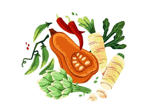 Illustration of halved butternut squash, chili peppers, artichoke and parsnips