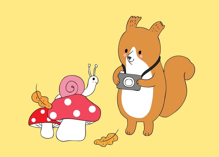 Squirrel with a camera photographing a snail on a red toadstool
