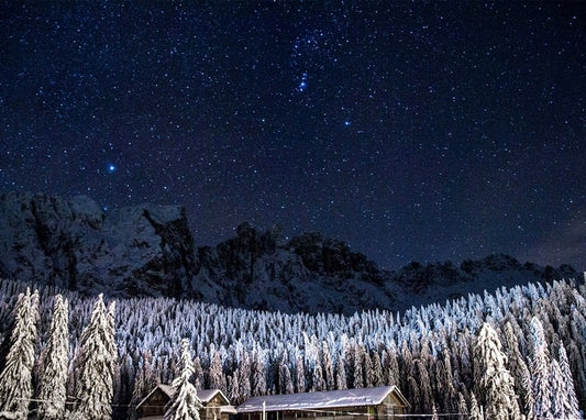 Starry night sky with Orion above a snow-covered pine forest and cabin roof