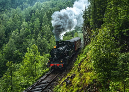 Schwarze Dampflok mit weißem Rauch in einer grünen, bewaldeten Bergschlucht