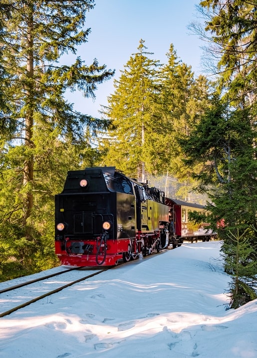 Black and red steam locomotive running through a sunlit snowy pine forest