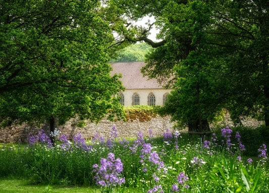 Old stone house glimpsed through oak trees above a meadow of purple wildflowers