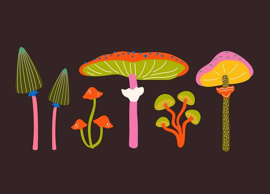 Six stylized mushrooms in green, pink, orange and yellow on a dark brown background