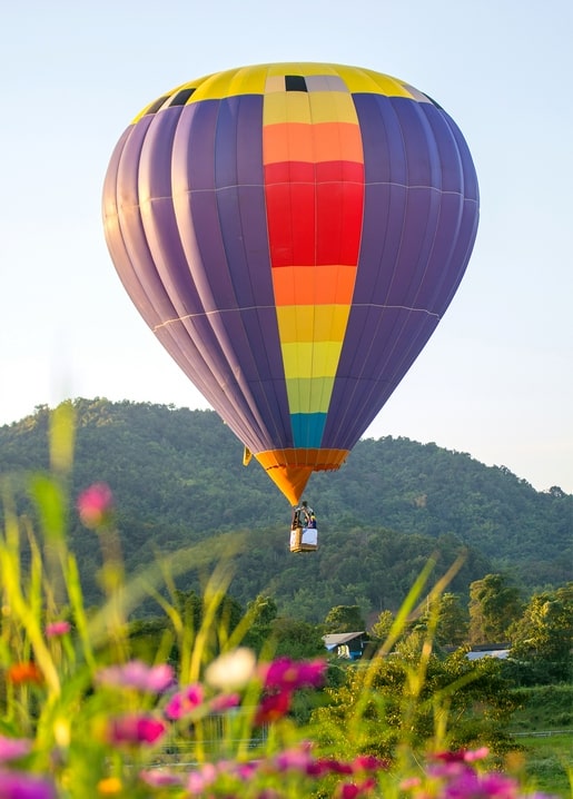 Листівка Літнє натхнення / Видавничий дім "Золота Птаха"