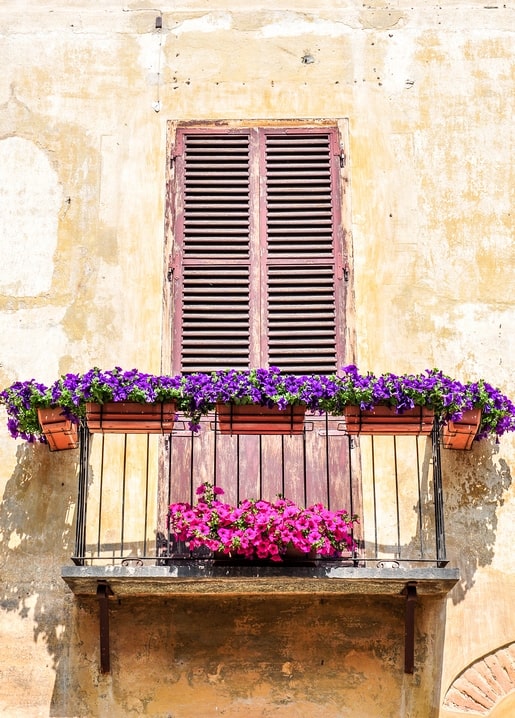 Листівка Літнє натхнення / Видавничий дім "Золота Птаха"