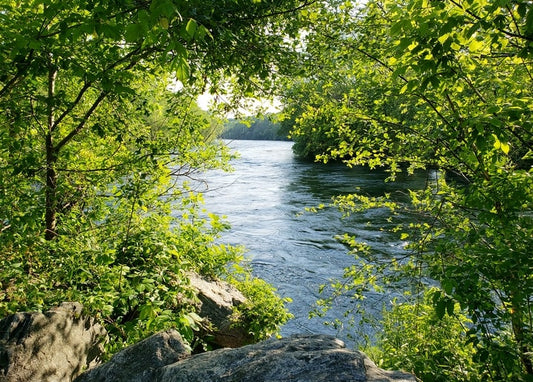 Листівка Літнє натхнення / Видавничий дім "Золота Птаха"