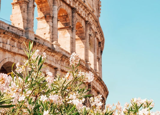 Листівка Літнє натхнення / Видавничий дім "Золота Птаха"