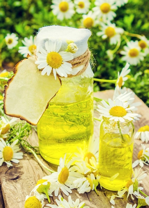 Листівка Літнє натхнення / Видавничий дім "Золота Птаха"