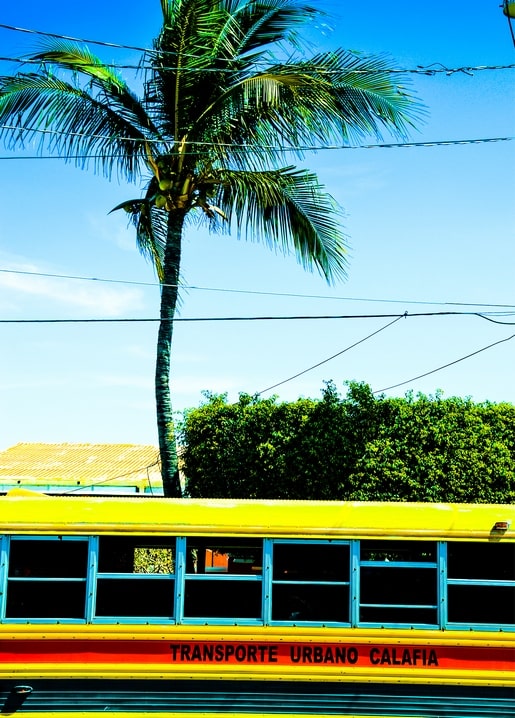 Листівка Літнє натхнення / Видавничий дім "Золота Птаха"