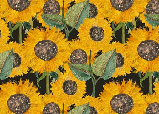 Repeating botanical pattern of sunflowers with dark centers on a near-black background