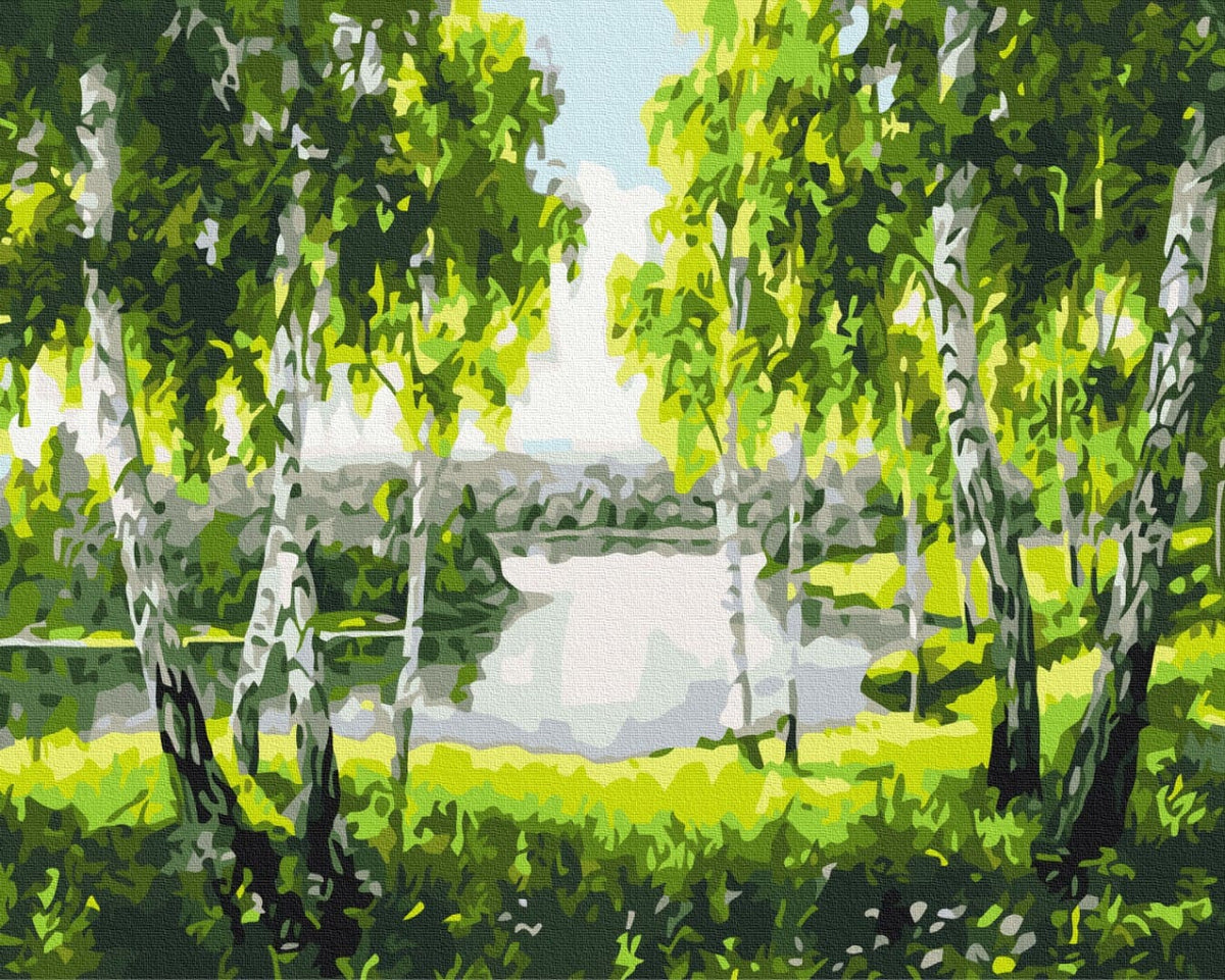 Sunlit birch grove with white trunks reflecting in a still pond, painting by numbers