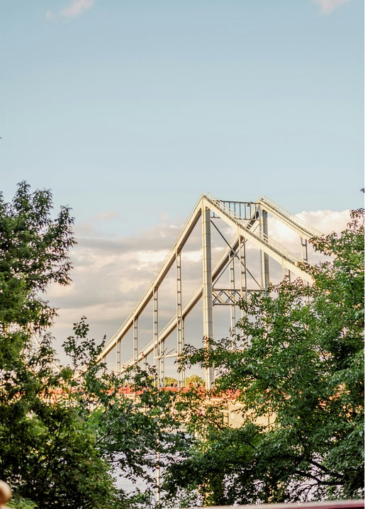 Suspension bridge over the Dnipro seen through green tree branches in Kyiv at sunset