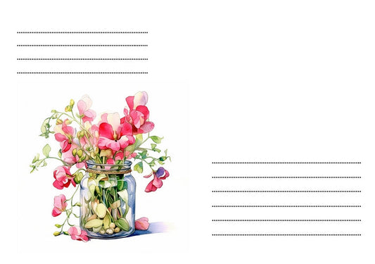 Aquarellillustration von rosa und weißen Duftwicken in einem Einmachglas.