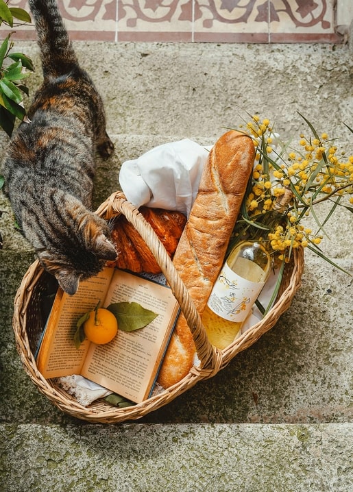 Tabby cat sniffing a wicker picnic basket with bread, wine, and mimosa on stone steps