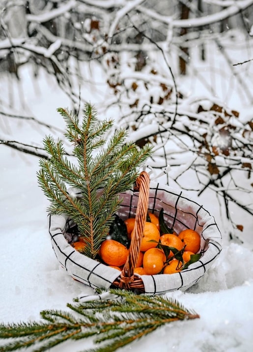 Woven basket of tangerines with a pine sprig sitting in fresh snow