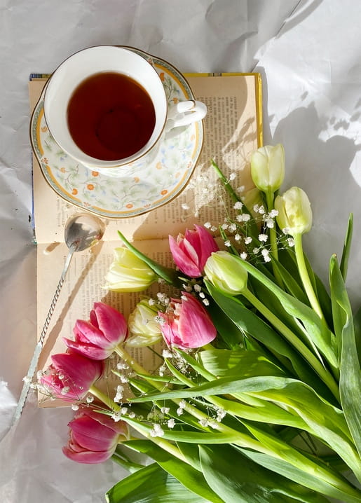 Teacup, open book and pink-white tulip bouquet with baby's breath in morning light