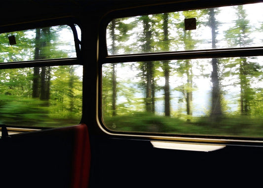 Blurred forest view from a train window with a red seat