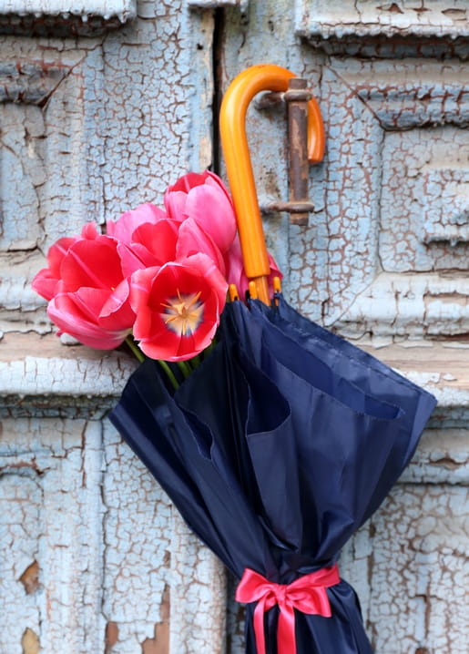 Coral tulips tucked in a navy umbrella hanging on a weathered blue door